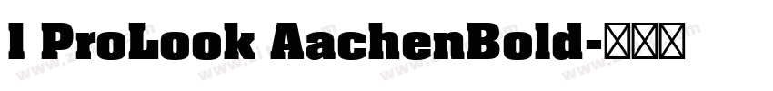 1 ProLook AachenBold字体转换